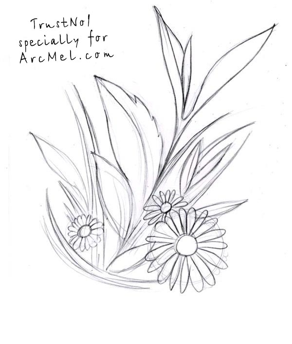 600x706 How To Draw Daisies Step By Step