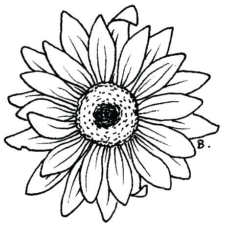 462x462 Daisy Coloring Page Cortefocal.site