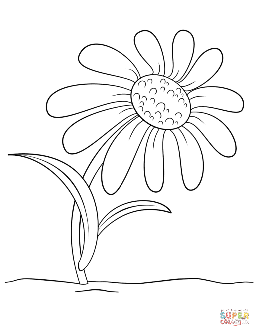 848x1098 Cartoon Daisy Flower Coloring Page Free Printable Coloring Pages