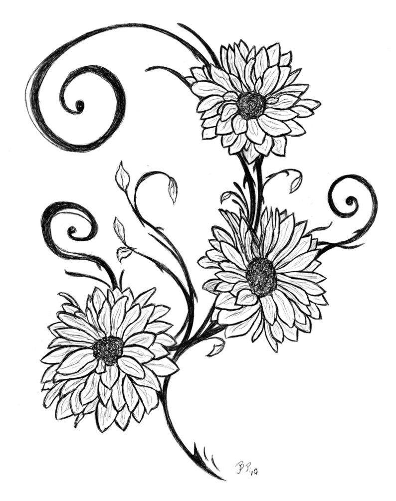 794x1005 Daisies Wallpaper Black White, Pc Daisies Wallpaper Black