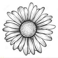 200x200 Daisy Flower Drawing