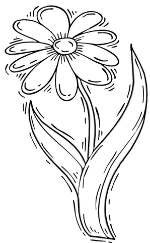 298x480 Daisy Flower Coloring Page Free Printable Coloring Pages