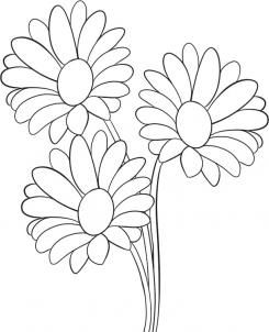 245x302 Drawn Daisy Hand Painted