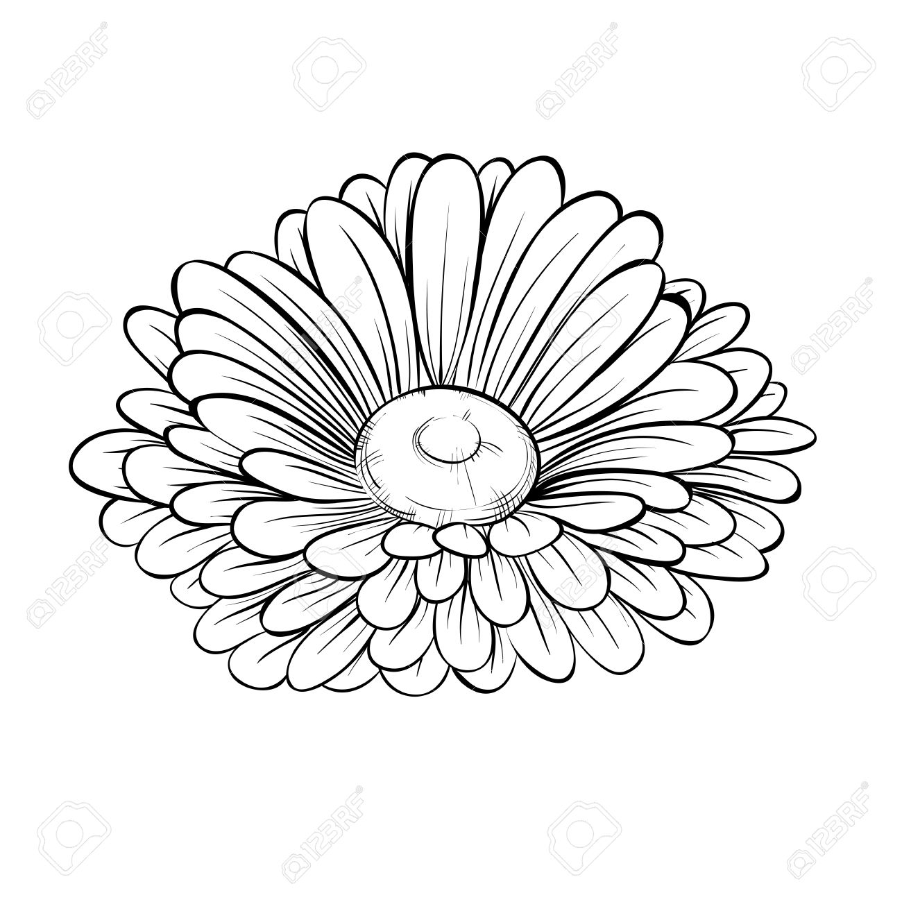 1300x1300 Pictures Of Flowers Drawn. Drawings Of Flowers In Black And White