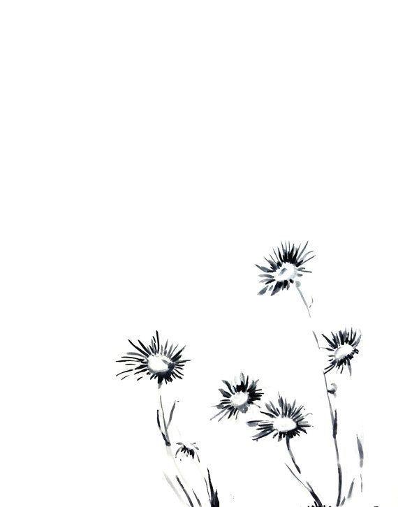570x726 The Best Daisy Flower Drawing Ideas On How To Draw