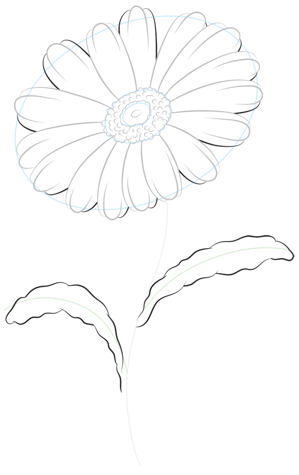 600x952 How To Draw A Daisy Step By Step