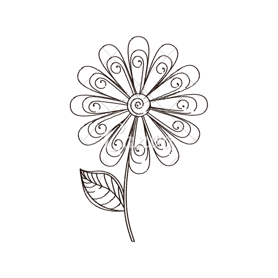 550x550 Daisy Flower Decoration Sketch
