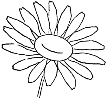 350x326 Drawing The Daisy How To Draw Daisies With Easy Step By Step