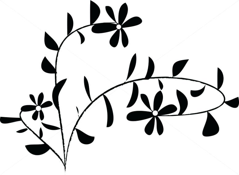 776x569 Flower Clipart Black And White Daisy Accent Daisy Flower Outline