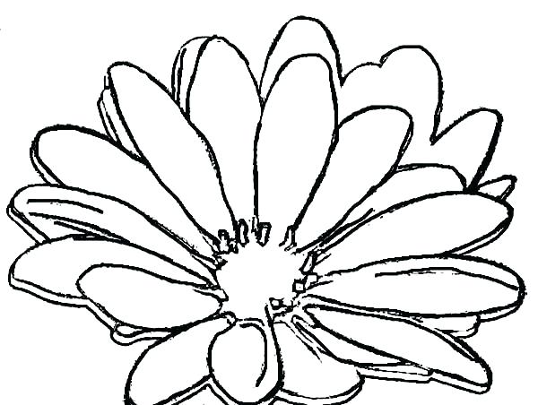 600x452 Flower Garden Coloring Page Daisy Flower Coloring Pages Daisy