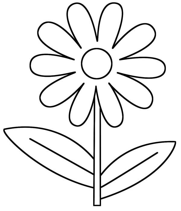 Daisy Drawing Outline at GetDrawings | Free download