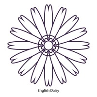 200x200 African Daisy Flower Flowers Blossom Blossoms Outline Outlines