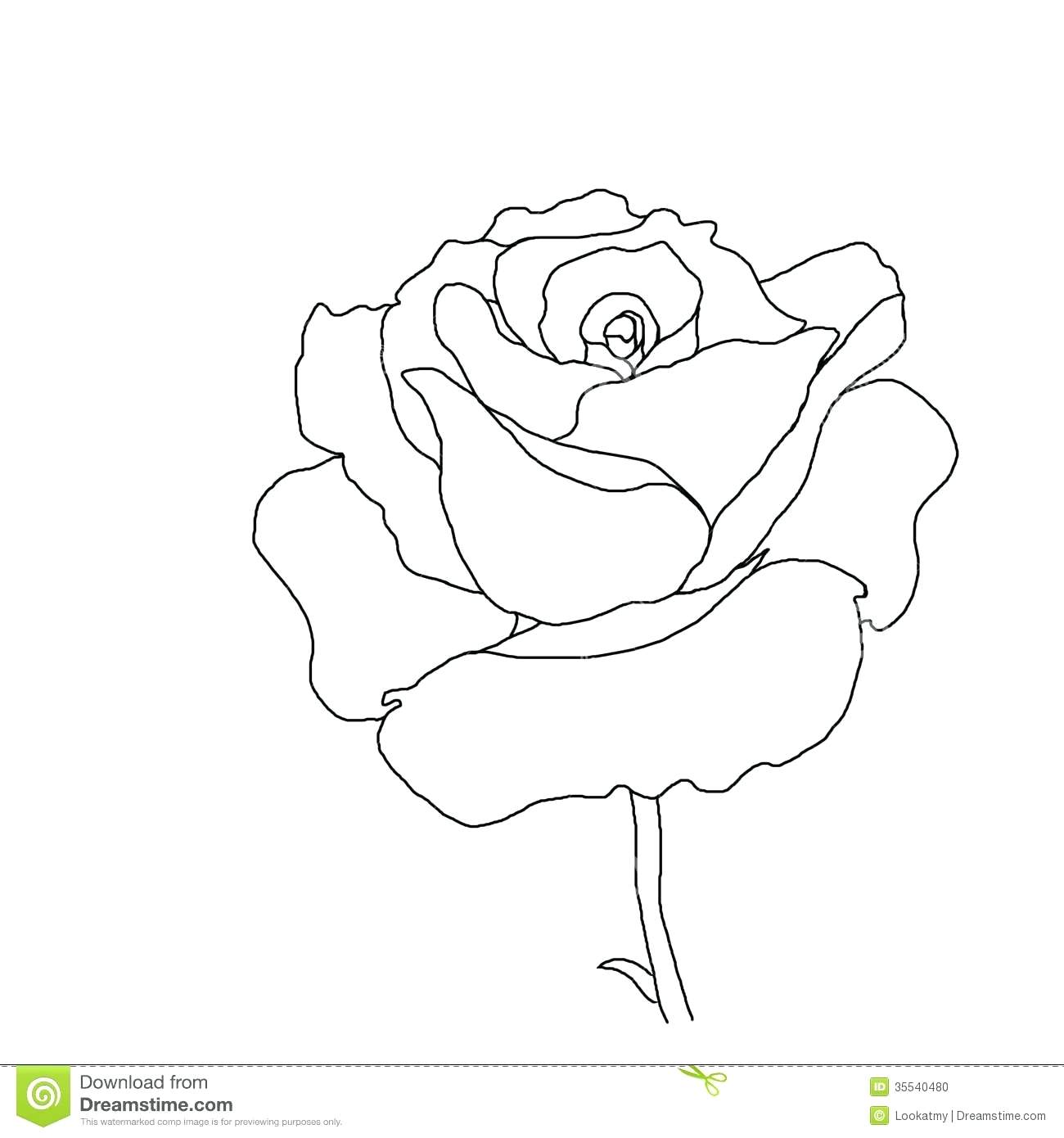 1300x1390 Coloring Pages Extraordinary Outline Of Flowers. Outline Flower