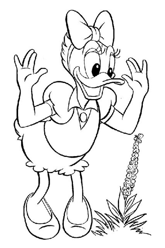 567x850 Daisy Duck Coloring Pages Overview With Cool Daisy Sheets