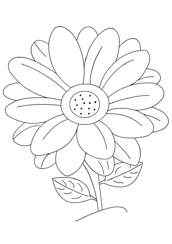 724x1024 Daisy Flower Coloring Pages Planting Daisy Flower Coloring Page