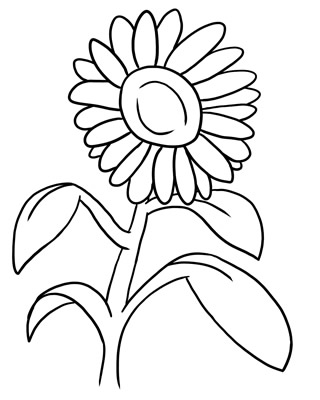 320x400 Flower Drawing Clipart