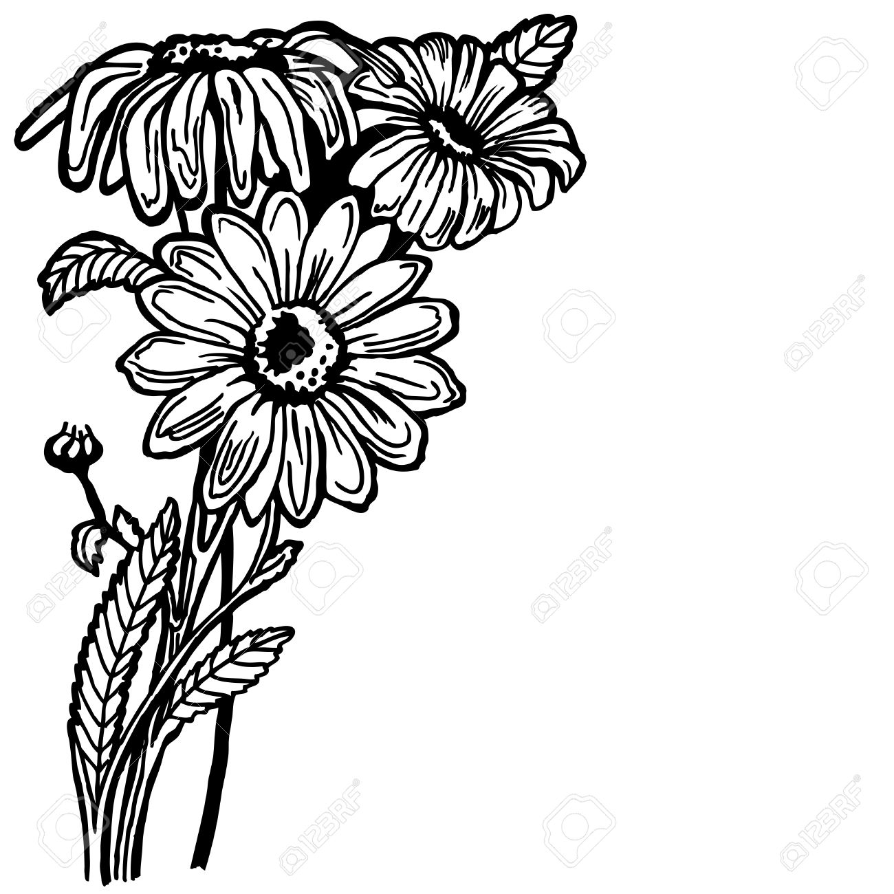 1300x1300 A Buch Of A Daisy With Flowers And Leaves. Drawing. Vintage