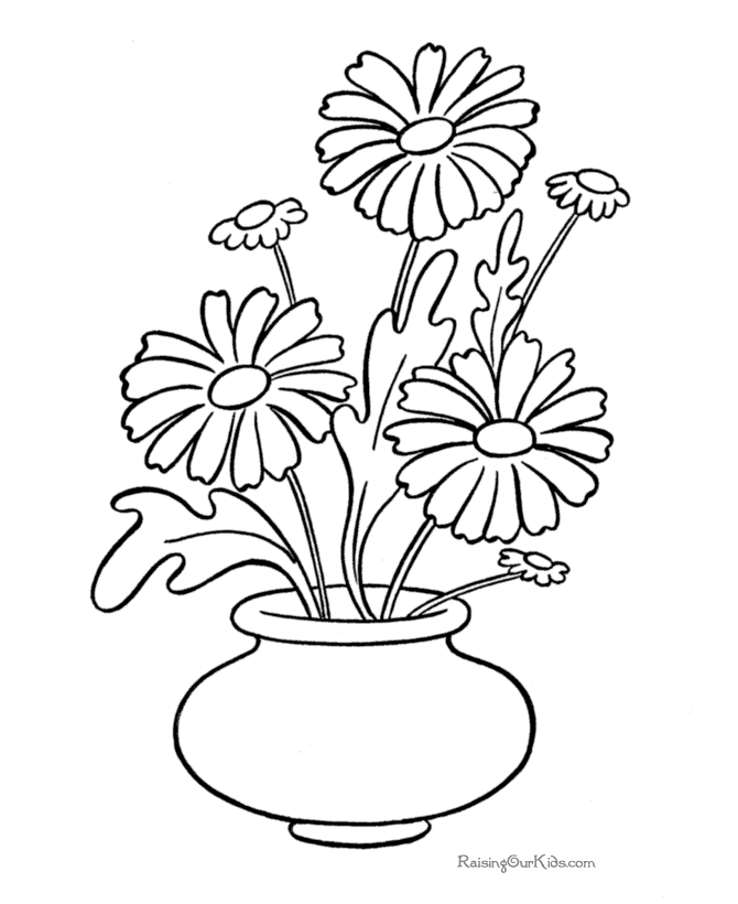 670x820 Various Species Of Daisy Flower Colouring Pages