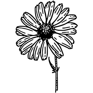 300x300 Daisy Lines Cliparts