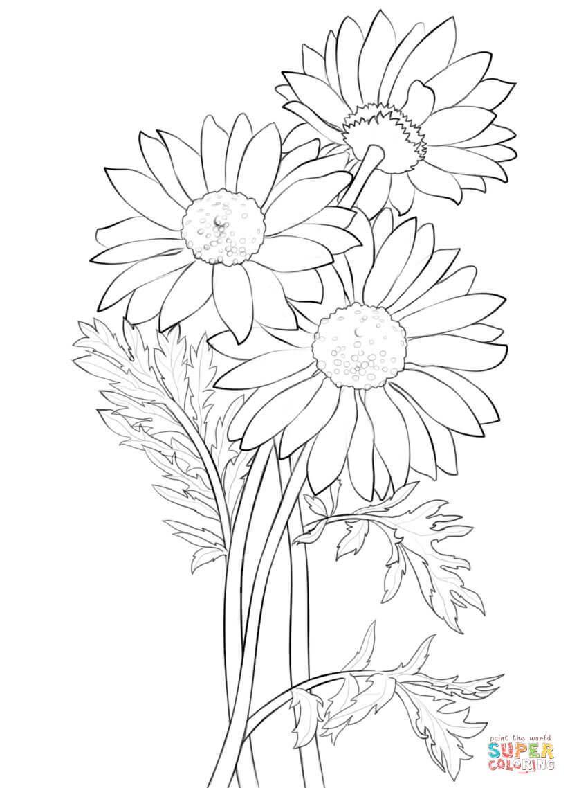 824x1138 Daisy Coloring Page Free Printable Coloring Pages