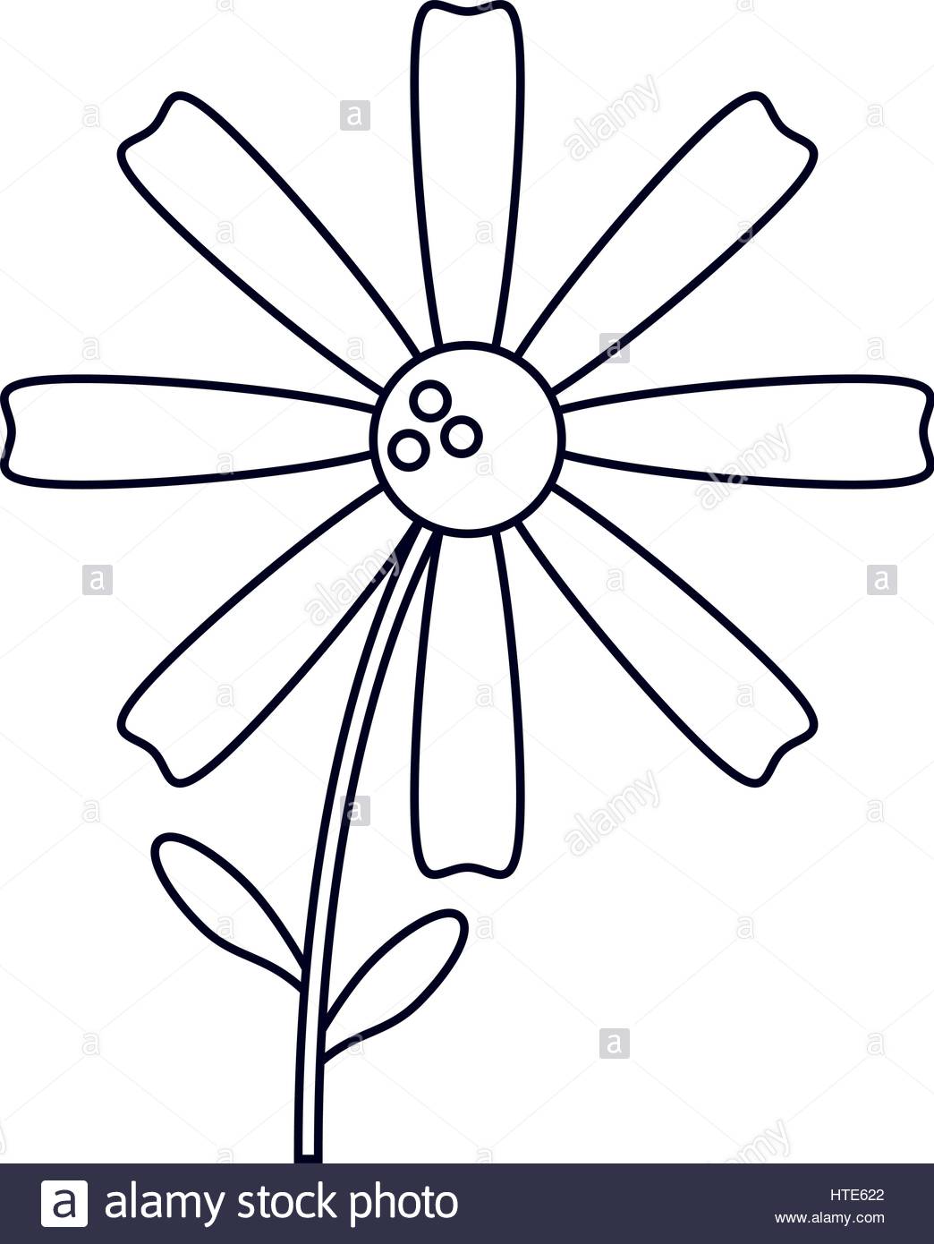 1044x1390 Daisy Flower Decoration Line Stock Vector Art Amp Illustration