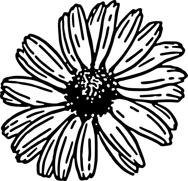 600x579 Daisy Clip Art Free Vector In Open Office Drawing Svg ( Svg