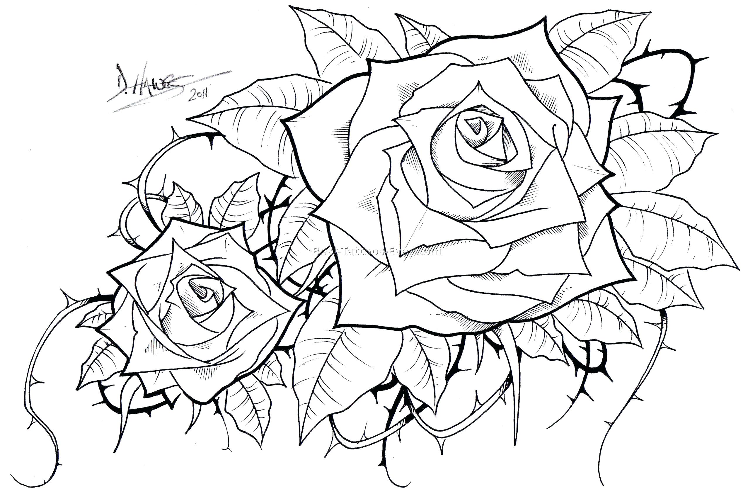 2553x1685 More Similar Stock Images Of Vector Outline Flowers Colouring