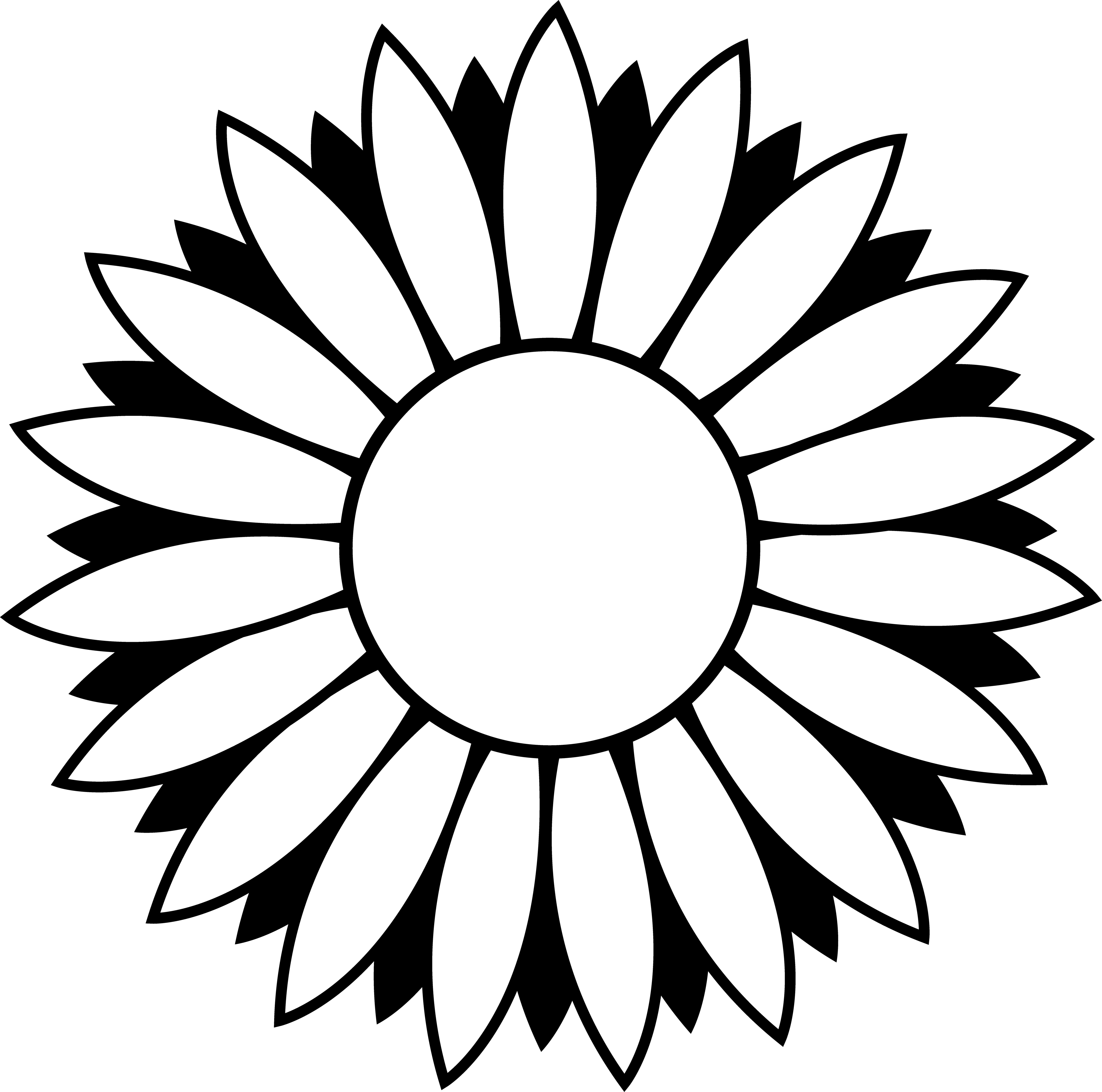 4880x4837 Simple Daisy Cliparts