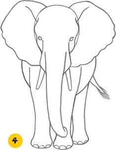 235x305 How To Draw An Elephant Step 3 Drawing Draw