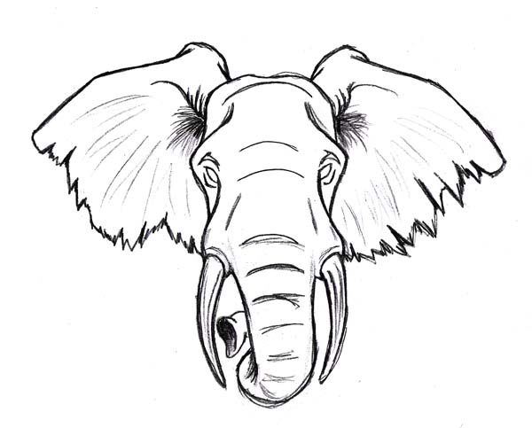 600x483 Elephant Tattoo Designs And Ideas