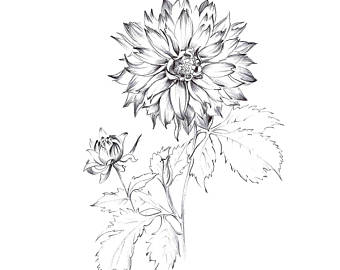 340x270 Sketch Print Etsy