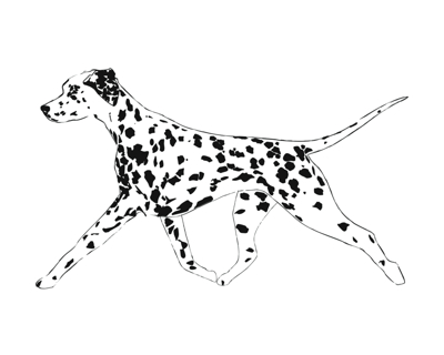 Dalmatian Dog Drawing at GetDrawings | Free download