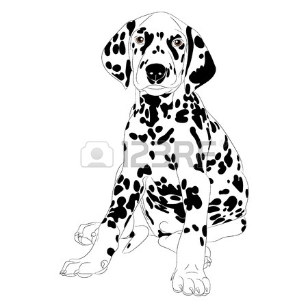 450x450 Dalmatian Cartoon Stock Photos. Royalty Free Business Images