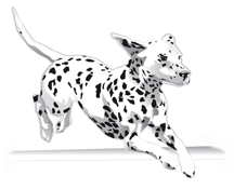 216x175 Dalmatian