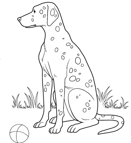440x480 Dalmatian Coloring Page Free Printable Coloring Pages
