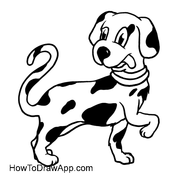 600x600 Learn How To Draw A Dalmatian Puppy Step By Step