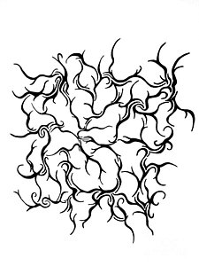 225x300 Line Dance Drawings