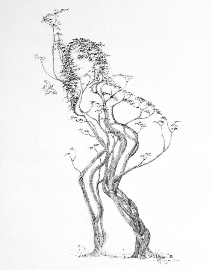 708x900 Butterfly Dancer Drawing By Mark Johnson