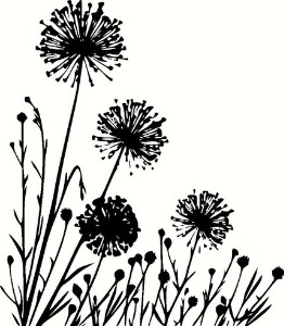 262x300 Summer Meadow With Variable Plants. Vinyl Wall Art, Dandelions