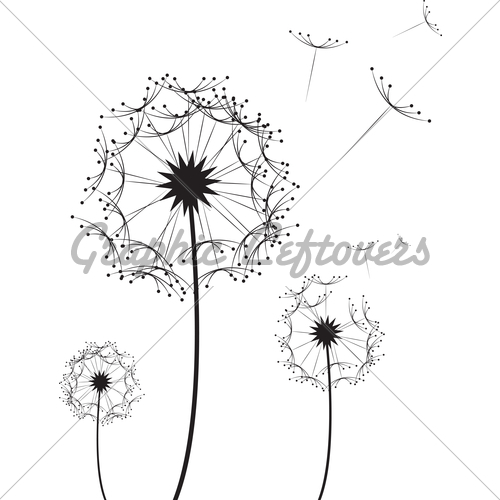 500x500 Dandelion Flower Gl Stock Images