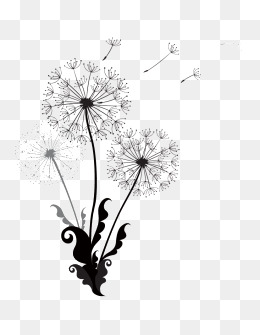 260x335 Dandelion Vectors, 337 Graphic Resources For Free Download