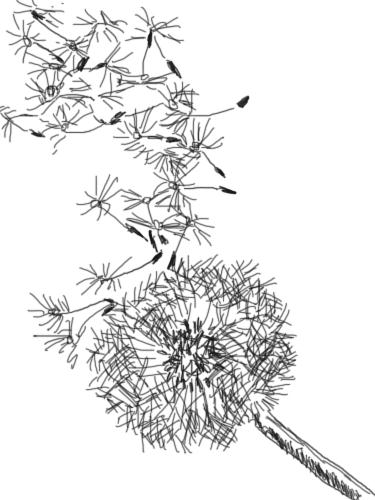 375x500 The Kitchen Table Crafter Free Digi Sketch Dandelion In The Wind
