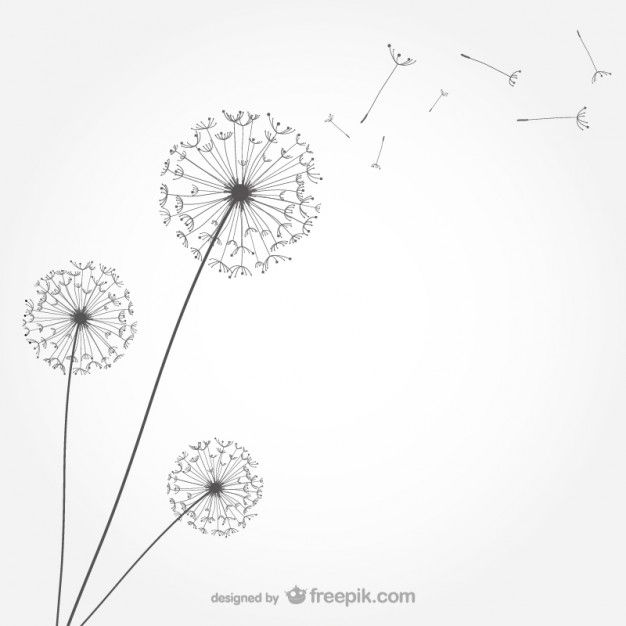 626x626 Vecteur De Pissenlit Minimaliste Bullet, Dandelions And Journal