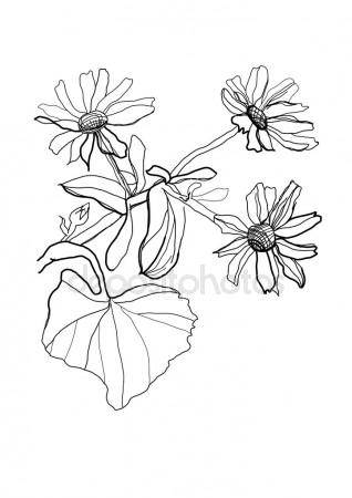 318x450 Black Dandelion Silhouette With Wind Blowing Flying Seeds Isolated