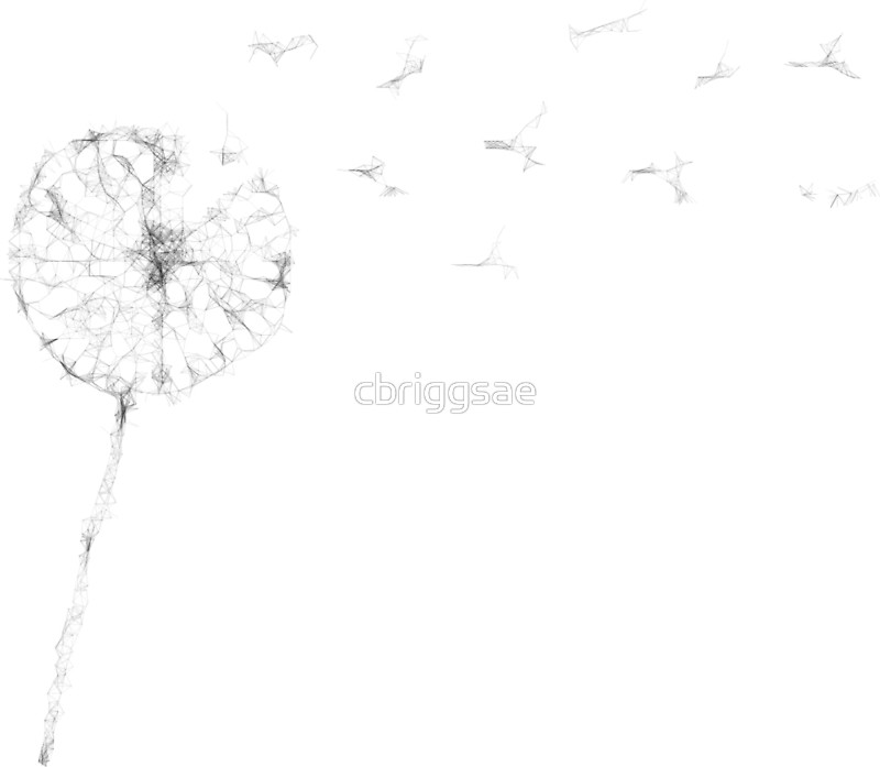 800x697 Blowing Dandelion Art Prints By Cbriggsae Redbubble