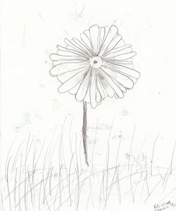 250x300 Daisy Blowing In The Grass