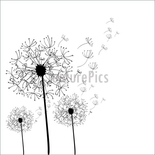 500x500 Illustration Of Hand Drawn Dandelion Isolated