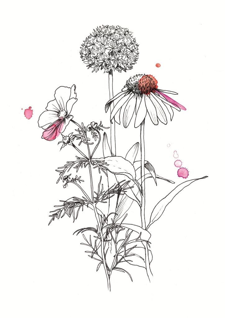 724x1024 Annemoon Van Steen Tells Us About Her Work And Shares A Little