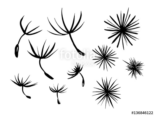 500x375 Set Ink Abstract Designs Drawn By Hand. Umbrellas Of Dandelion
