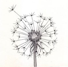 236x233 Dandelion Art Dandelions, Drawings And Collage